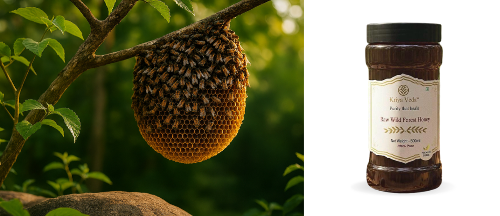 Kriya Veda Wild Forest Honey
