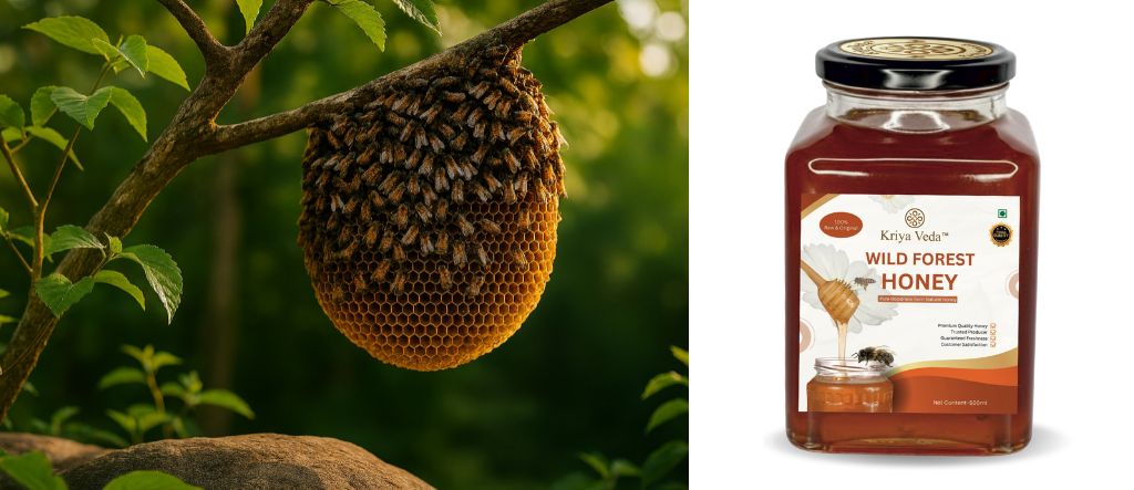 Kriya Veda Wild Forest Honey